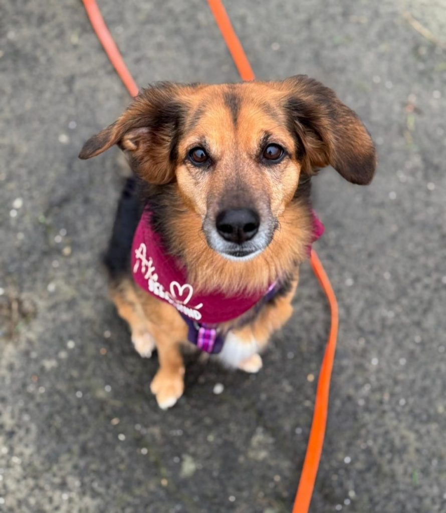 WhatsApp Image 2025-02-10 at 14.38.37