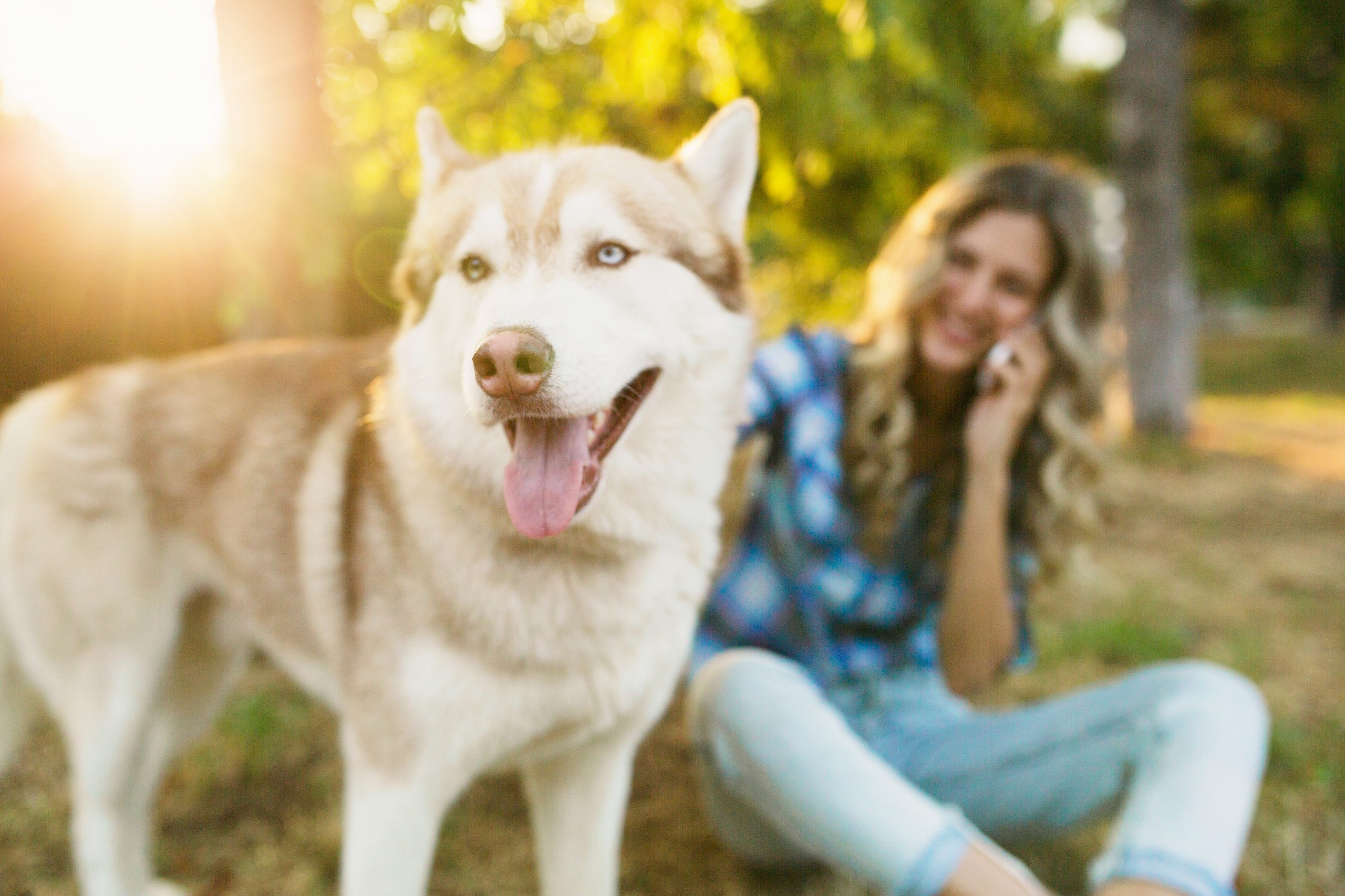 cute young stylish pretty smiling happy blond woman playing with dog